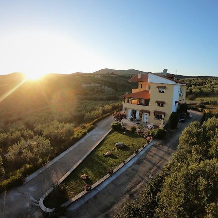 Big Summer House Halkidiki Psakoudia Ngoại thất bức ảnh