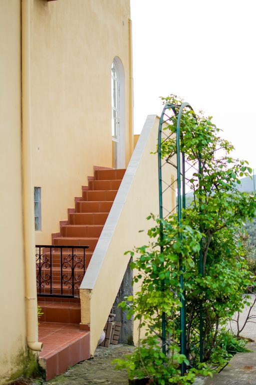 Big Summer House Halkidiki Psakoudia Ngoại thất bức ảnh